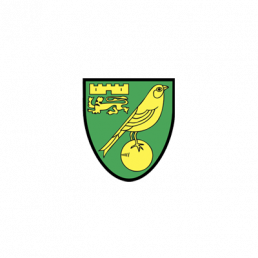 Case Studies - Norwich City Football Club